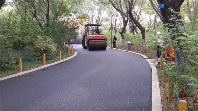 ��ҳ| CA88�����й�Ψһ�ٷ���վ