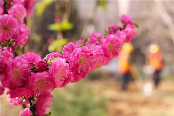 ��ҳ| CA88�����й�Ψһ�ٷ���վ