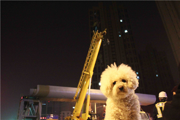 ��ҳ| CA88�����й�Ψһ�ٷ���վ